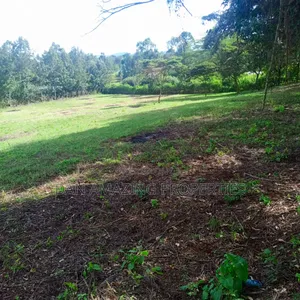 1 Acre Red Soil Land for Sale in Ngong Olkeri