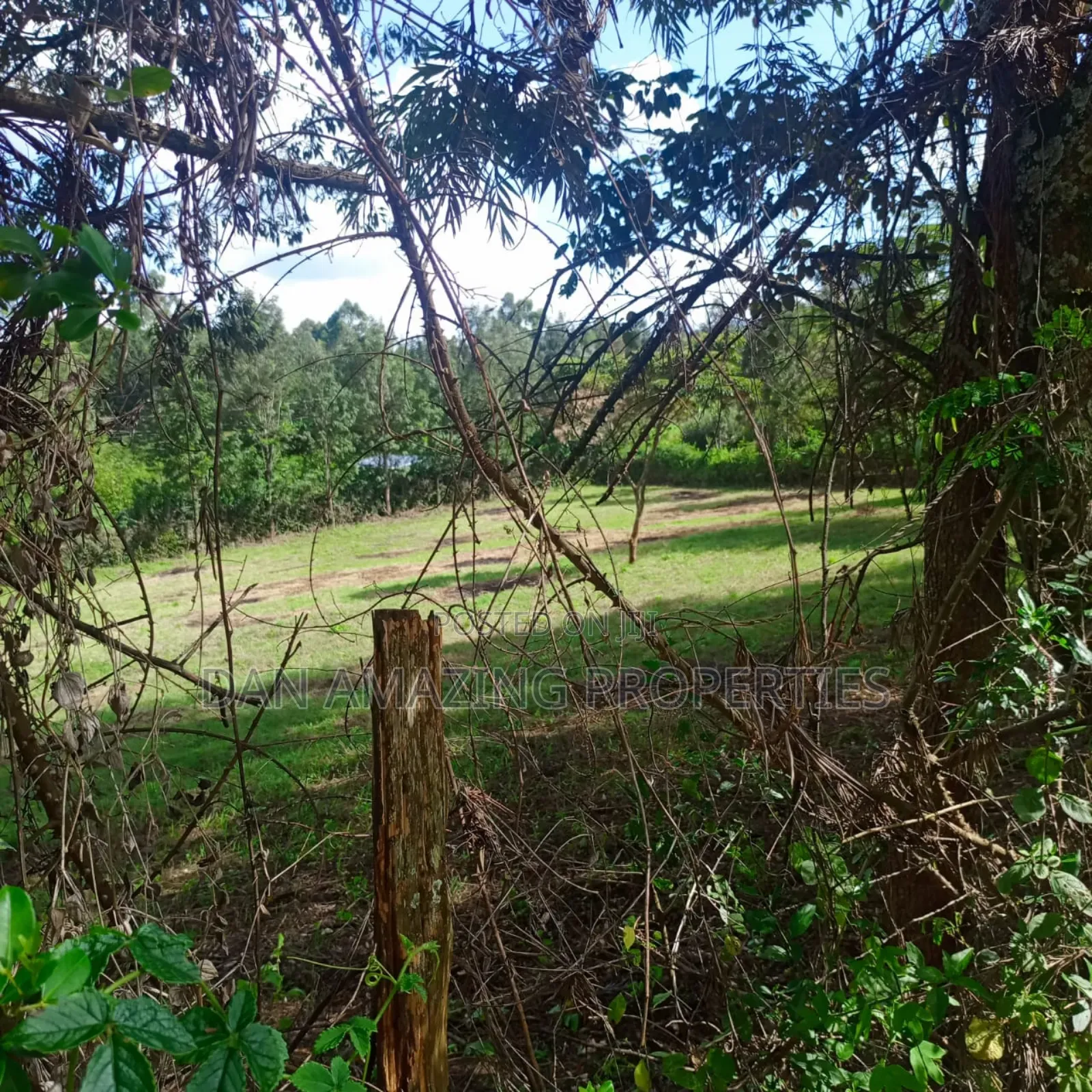 1 Acre Red Soil Land for Sale in Ngong Olkeri
