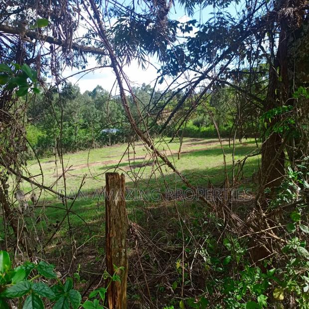 1 Acre Red Soil Land for Sale in Ngong Olkeri - thumbnail 4