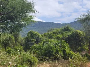 Commercial Land.