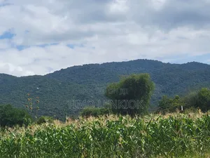 Commercial Land.