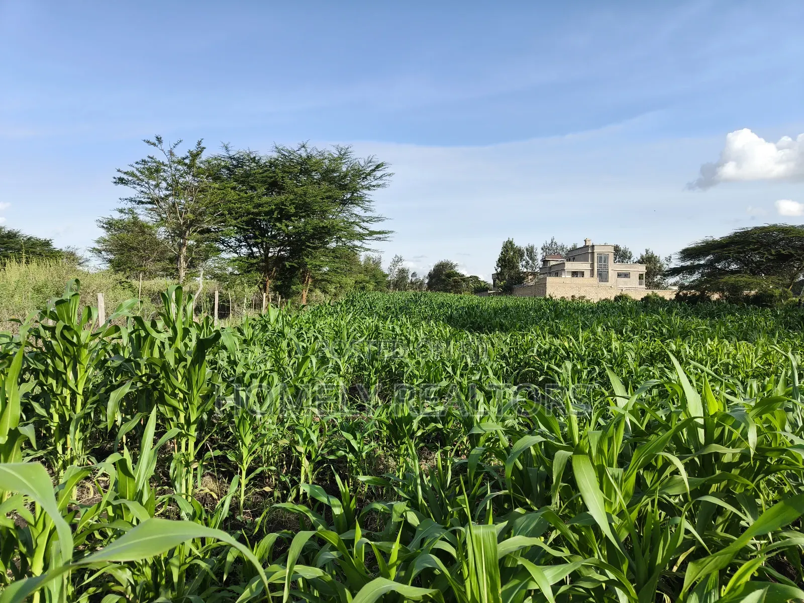 One Acre Piece of Land in Ongata Rongai, Rimpa Near Tarmac