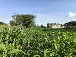 One Acre Piece of Land in Ongata Rongai, Rimpa Near Tarmac