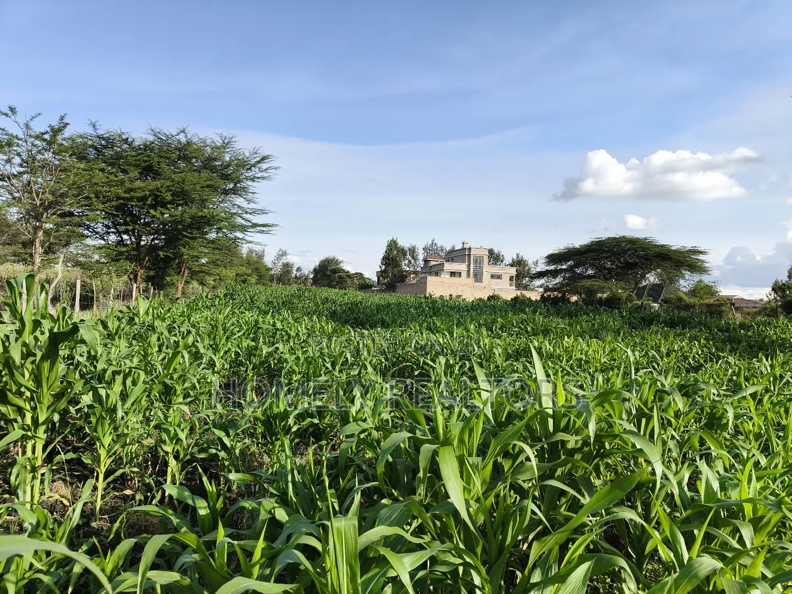 One Acre Piece of Land in Ongata Rongai, Rimpa Near Tarmac