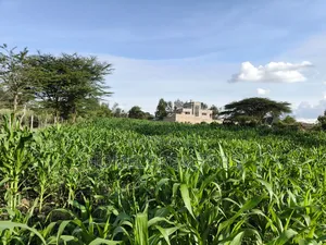 One Acre Piece of Land in Ongata Rongai, Rimpa Near Tarmac