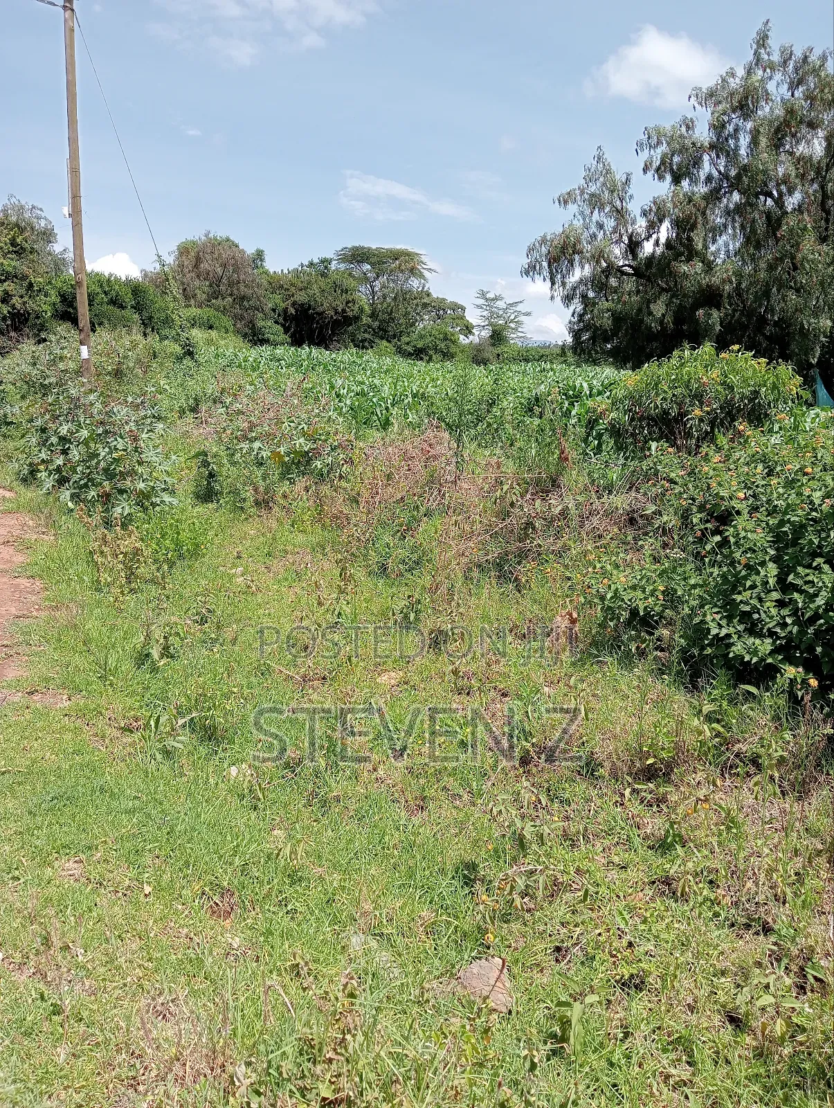 Sale of Plot