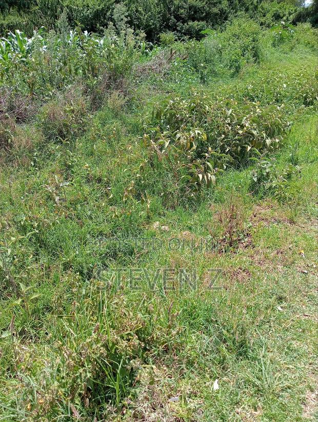 Sale of Plot - thumbnail 4