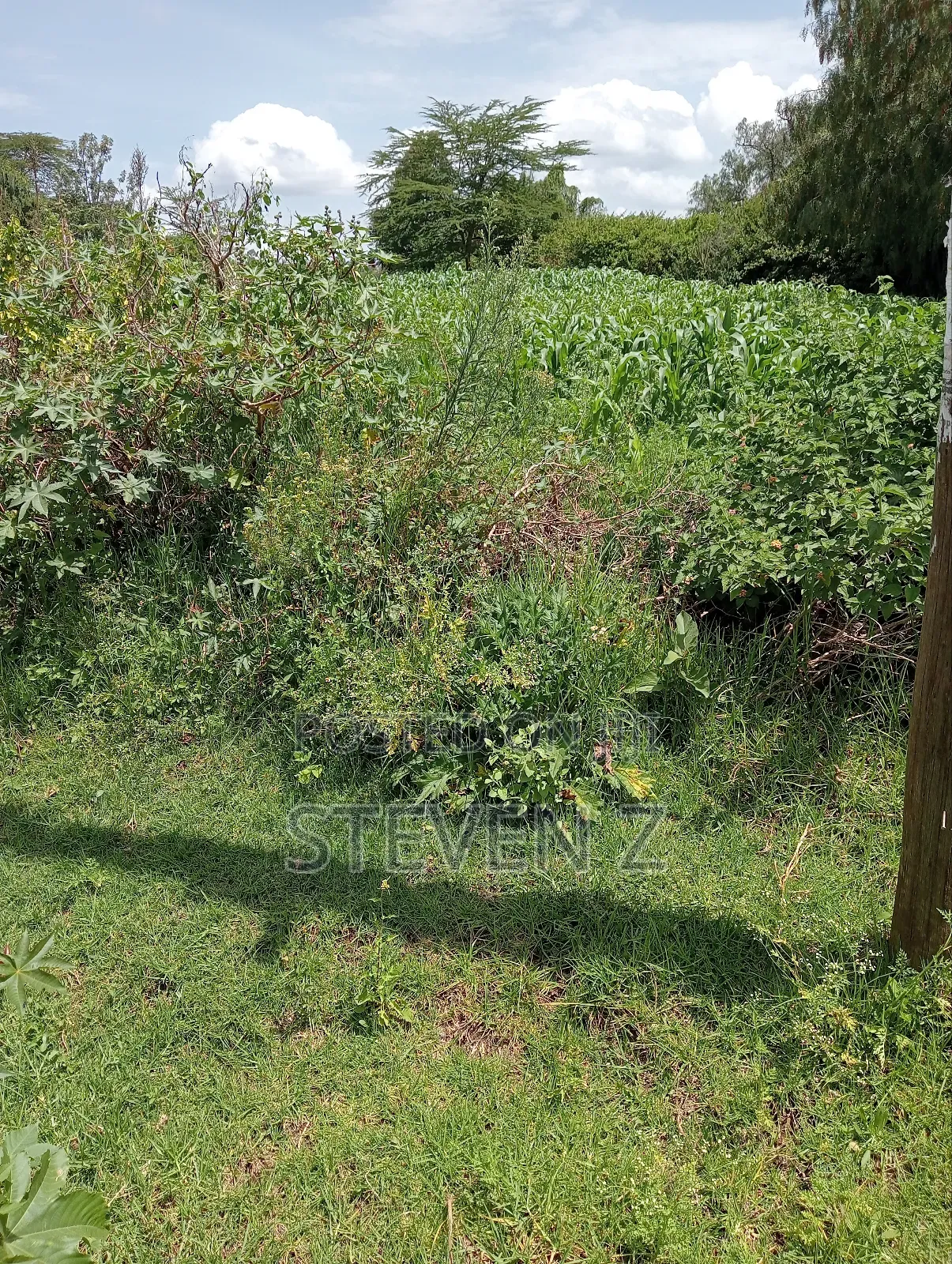 Sale of Plot
