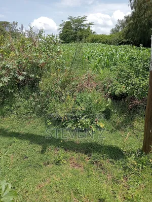 Sale of Plot