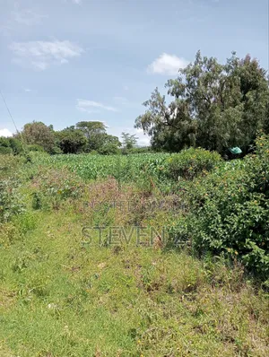 Sale of Plot