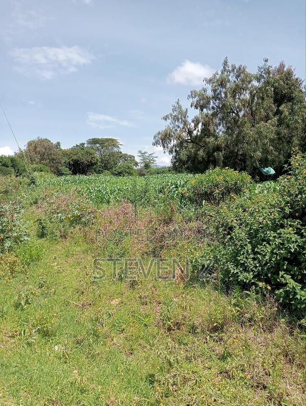 Sale of Plot - thumbnail 6