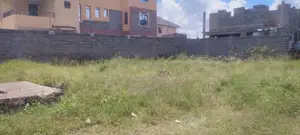 Katani Road Plot