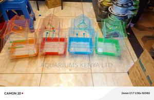 Bird Cage , 4 Colour Variants - thumbnail 2