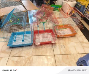 House Cage for Domestic Birds