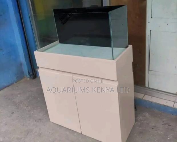 White Aquarium With Black Contrast for Sale - main view