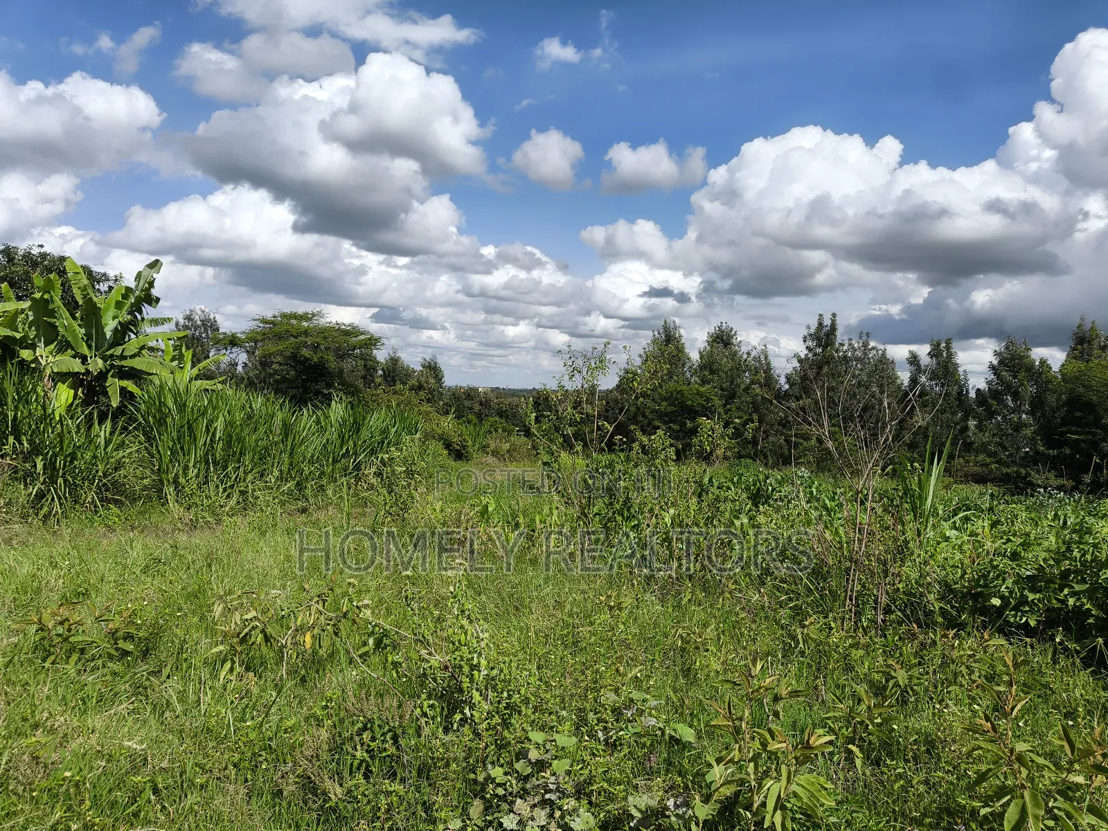 Half Acre Piece of Land in Ongata Rongai, Nkoroi, Oloika Rd