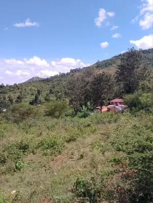 Machakos 5 Acres Kaani Kathinu