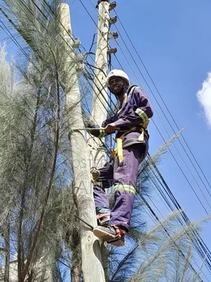 Fiber Technician