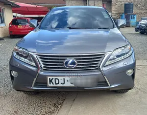 Lexus RX 2014 Gray