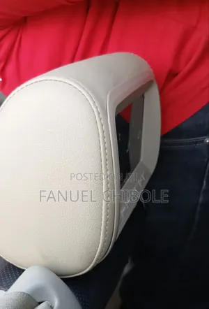 Beige/Black/Grey Headrest Monitor