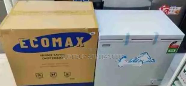 Ecomax Freezer 169litres - main view
