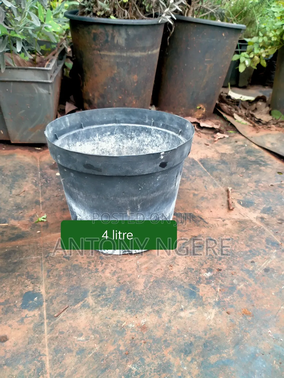 Flower Pot