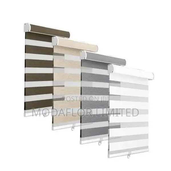 Modern Zebra Blinds for Your Windows