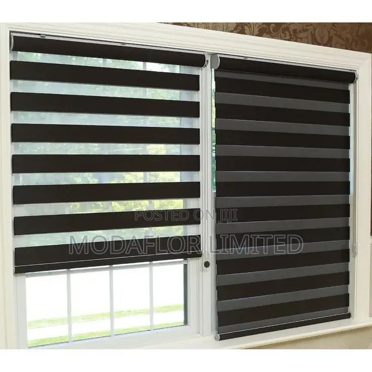 Day Night Light Control in Style With Zebra Window Blinds