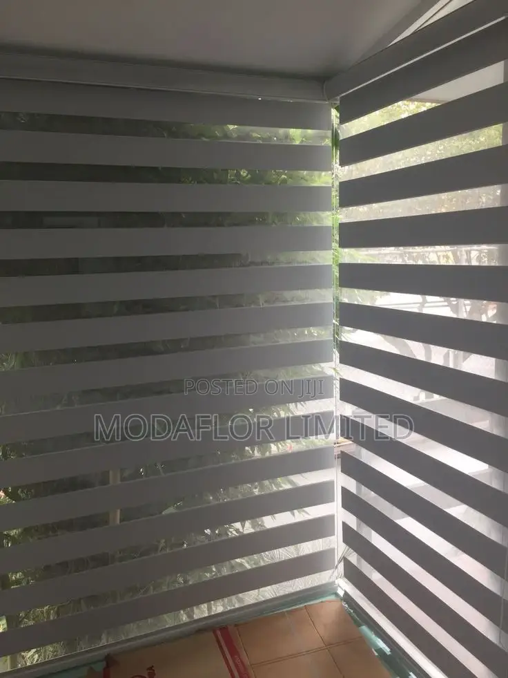 Zebra Window Blinds With a Modern Twist