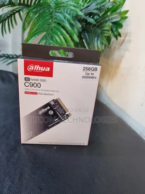 Dahua C900 256gb Nvme M.2 SDD