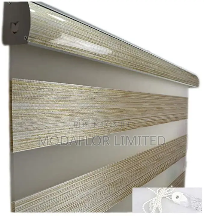 Change Your Space Without Renovation With Zebra Window Blind