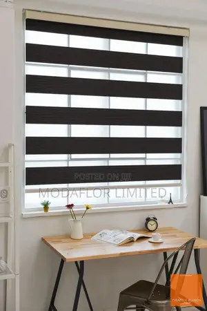 Light When You Want It, Privacy You Neeed With Zebra Blinds