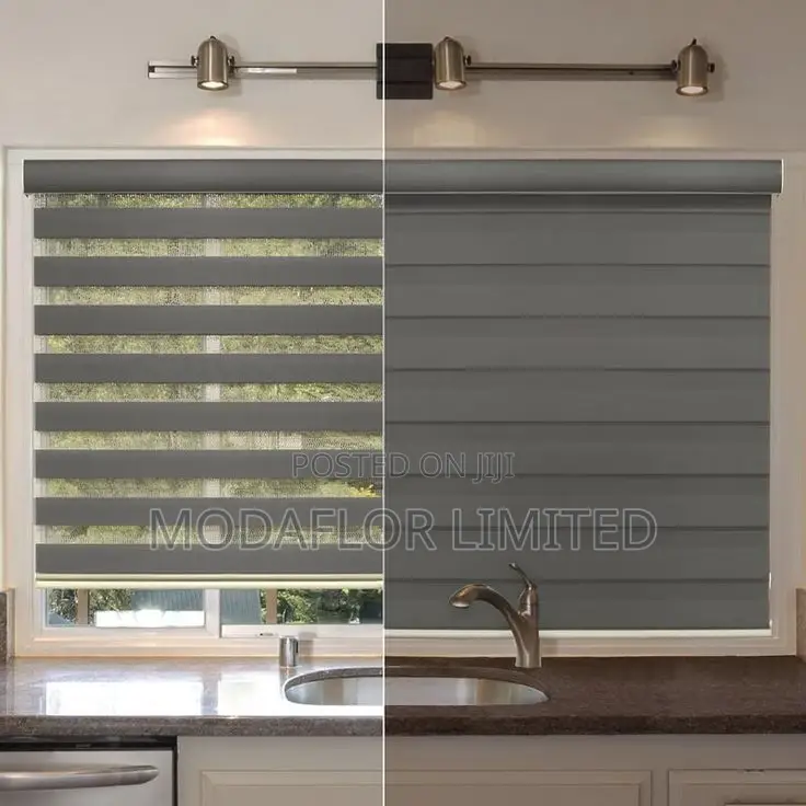 Day Night Control With One Blind With Zebra Window Blinds