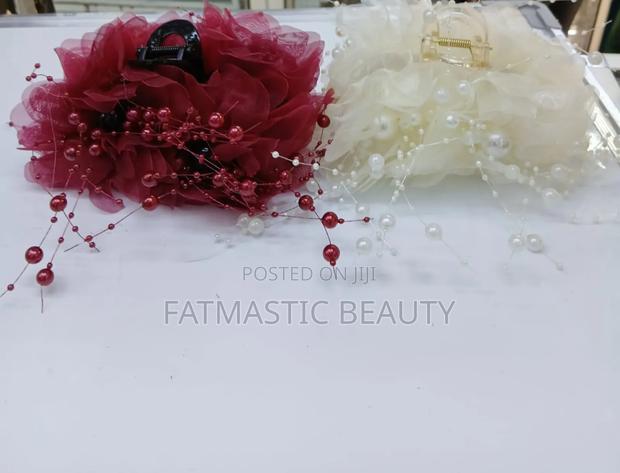 Cutest Hair Claws - main view