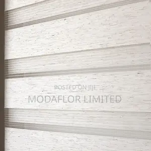 Privacy, Light Control, and Style in One of Zebra Blinds