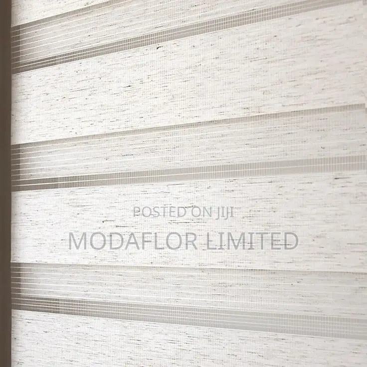 Privacy, Light Control, and Style in One of Zebra Blinds