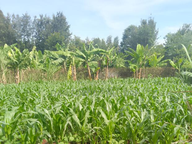 Prime Land Within Kitale Municipality - main view