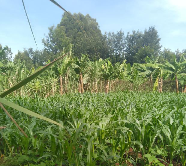 Prime Land Within Kitale Municipality - thumbnail 2