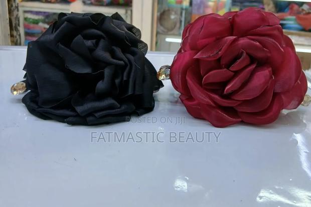 Stylish Hair Claw / Clips - main view