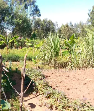 Prime Residential Land for Sale.