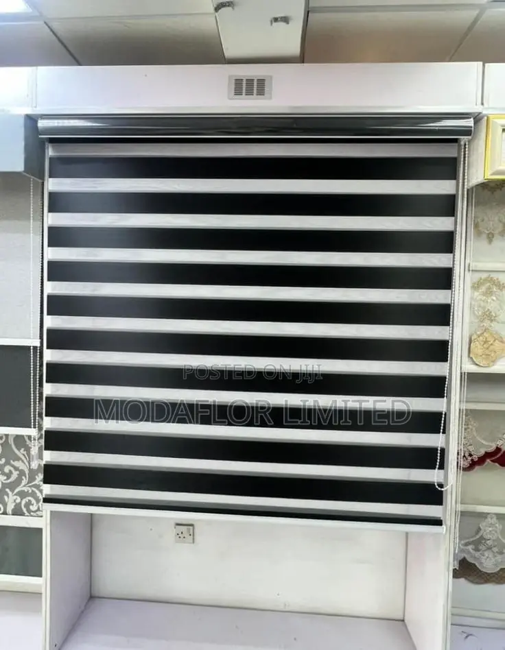 Window Styling Made Elegant With Zebra Window Blinds