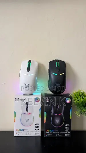 Cw928 Wireless Gaming Mouse