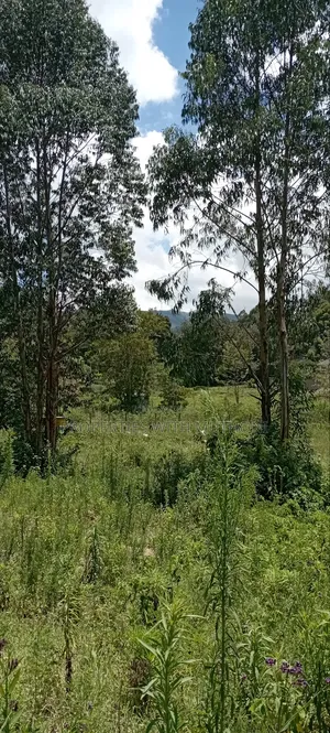 50×100 Plots for Sale in Matasia, Ngong.