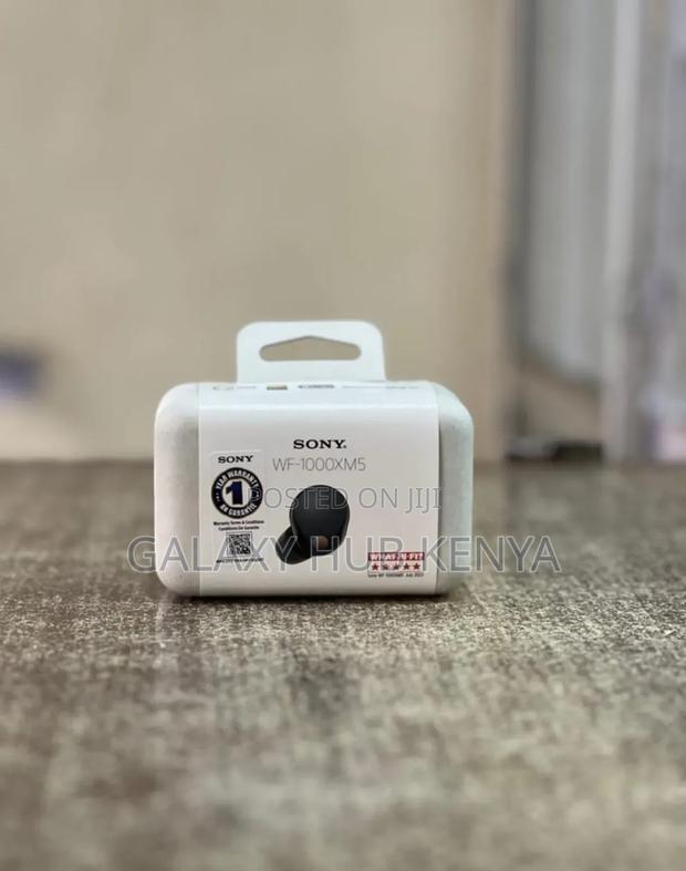 Sony Wf-1000xm5 Earbuds - main view