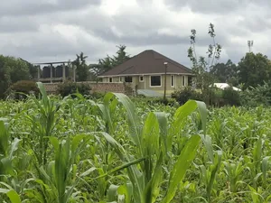 100x100 Residential Plot for Sale in Gikambura