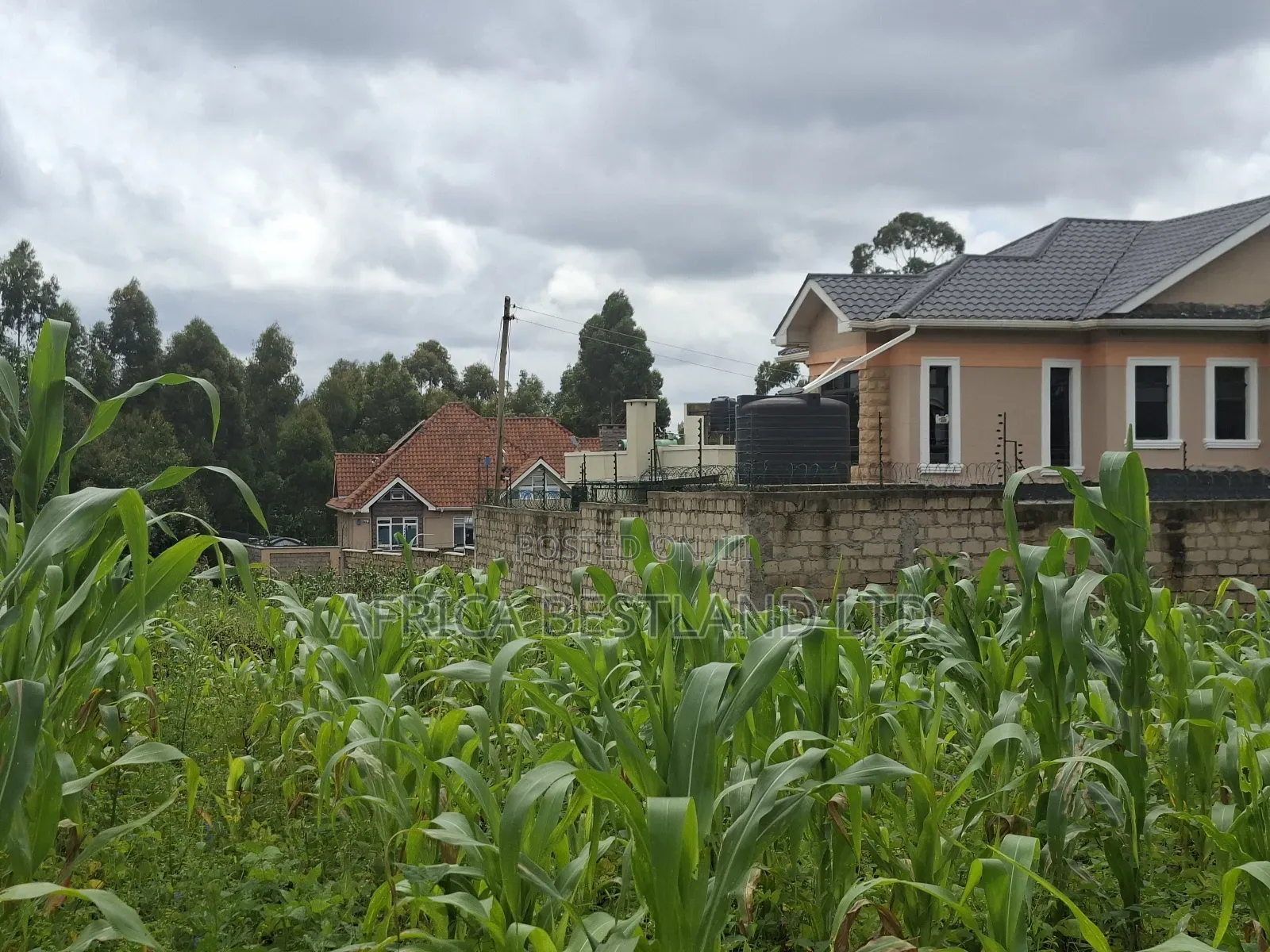 100x100 Residential Plot for Sale in Gikambura
