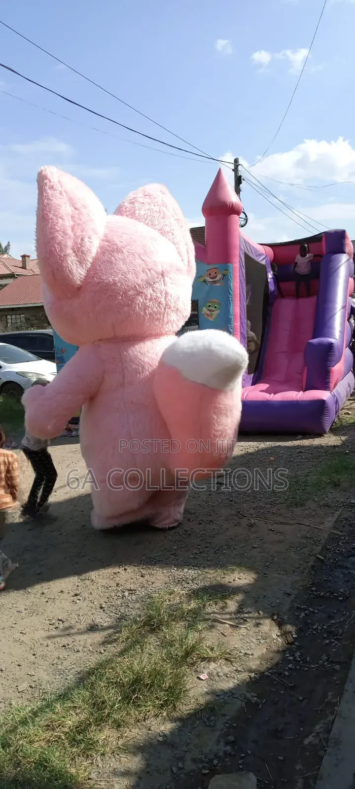 Bouncy Castle and Mascot for Hire