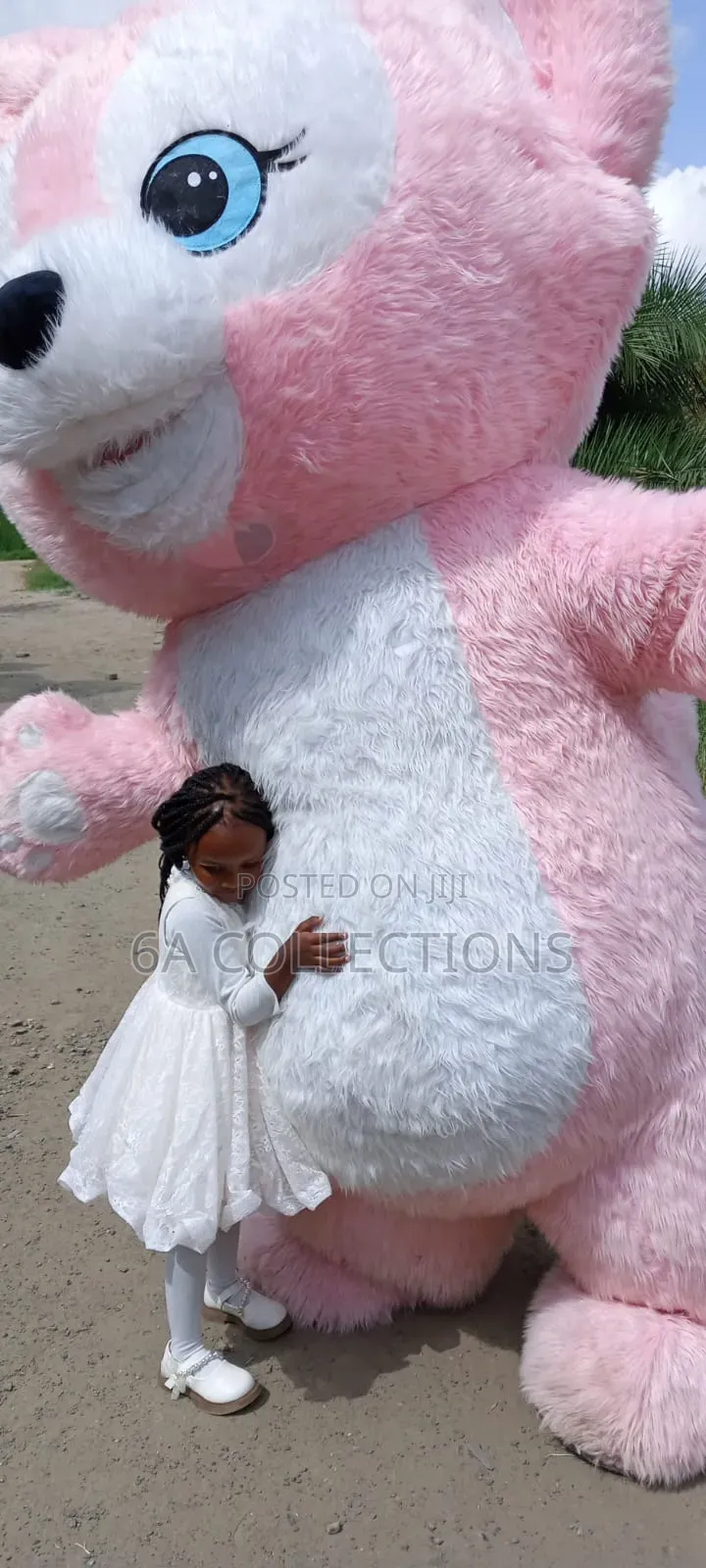 Bouncy Castle and Mascot for Hire