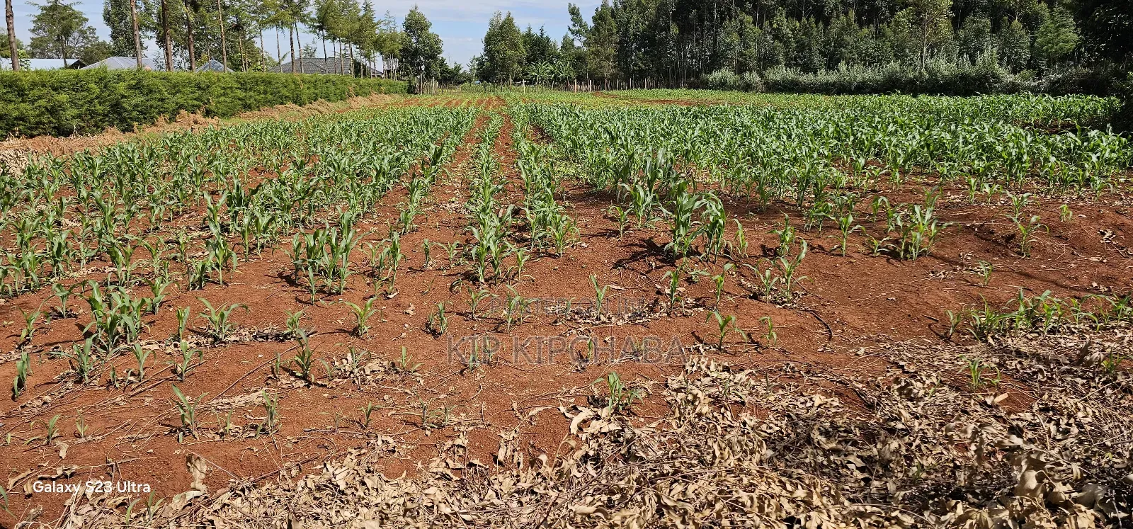 1 Acre Land for Sale in Kapseret Bypass Lobo in Eldoret