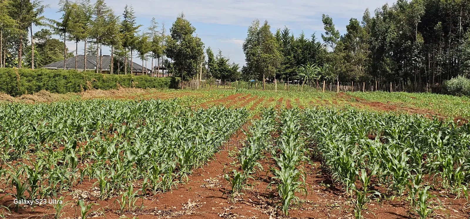 1 Acre Land for Sale in Kapseret Bypass Lobo in Eldoret